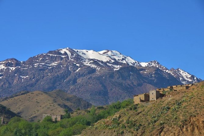 04 days Private Desert tour from Marrakech. - Price and Logistics: Is $754.88 Actually Fair Here?