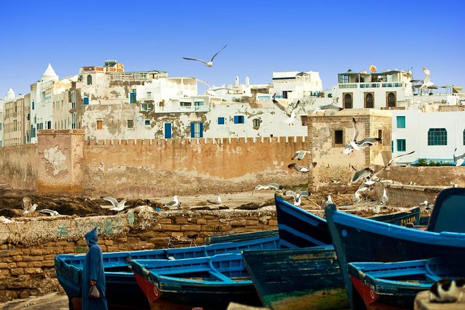 1 Day Excursion from Marrakech to Essaouira - Essaouira Fishing Port: The Classic Atlantic Scene