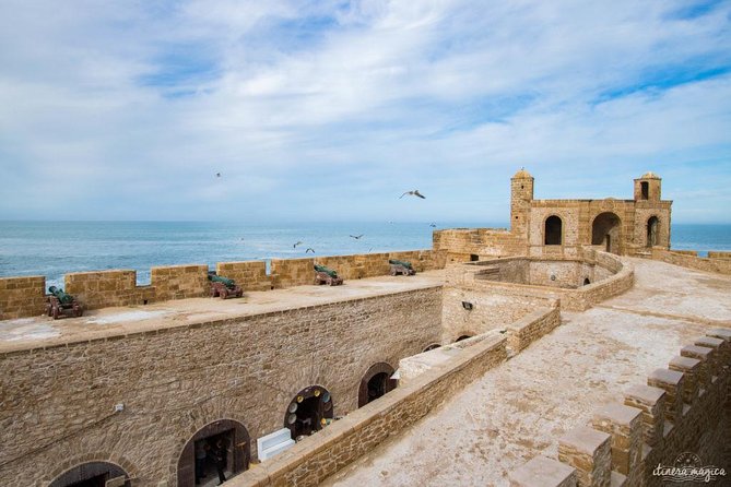 1 Day Excursion from Marrakech to Essaouira - Who This Essaouira Trip Fits Best (and When to Skip It)