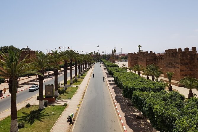 1 day guided tour to tiout tarodant from Agadir - Key highlights worth knowing before you go