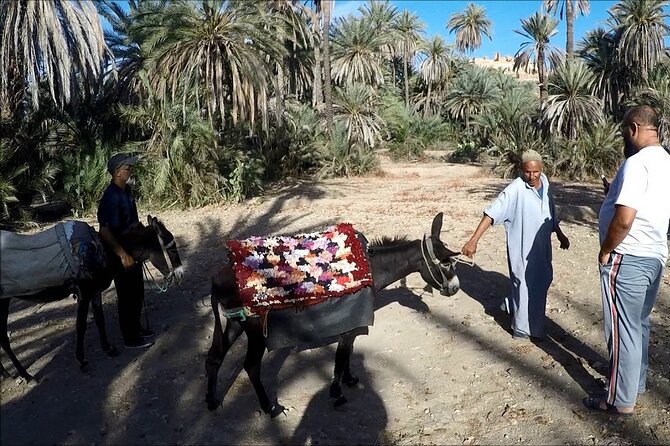 1 day guided tour to tiout tarodant from Agadir - Price and Value: Is $35.34 Worth It?