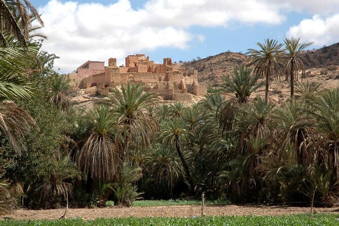 1 day guided tour to tiout tarodant from Agadir - Group Size, Pickup, and What to Expect On The Day