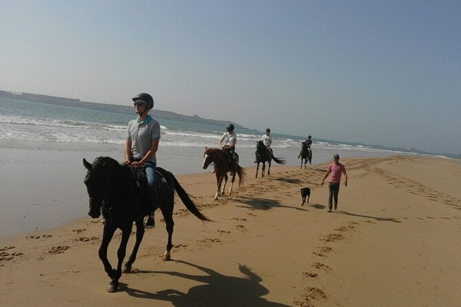 1 day horseback ride with lunch - From Diabat to the Atlantic: how the day starts