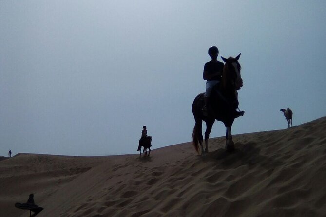 1 day horseback ride with lunch - Horses, equipment, and riding level: who it fits best