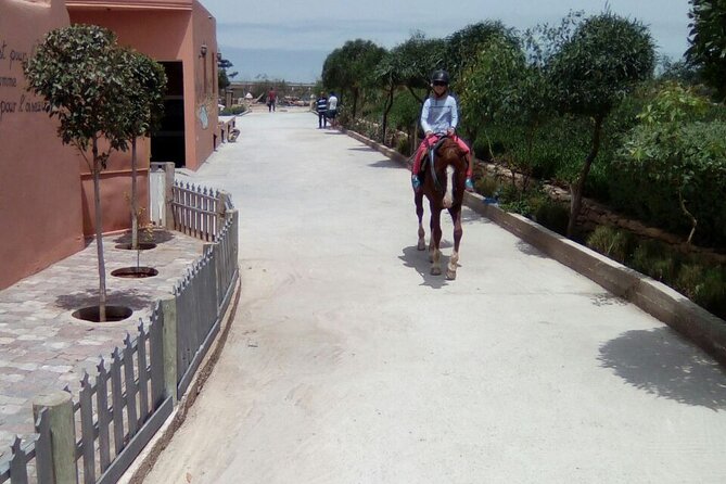 1 day horseback ride with lunch - The route you’ll actually feel: beach, dunes, a fishing village, and shade