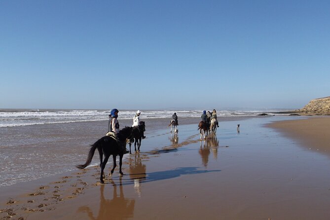 1 day horseback ride with lunch - Lunch and tea: how the food part lands
