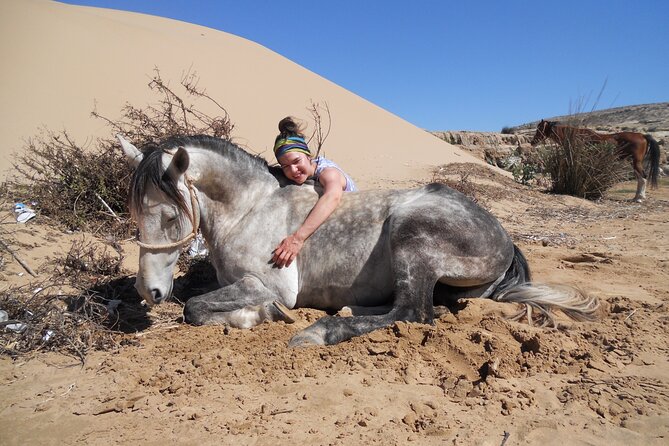 1 day horseback ride with lunch - Guides matter more than you think (Brahim, Khaled, Abdou, and Khalid)