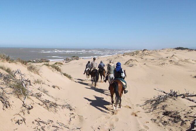 1 day horseback ride with lunch - Price and value: what you’re really paying for