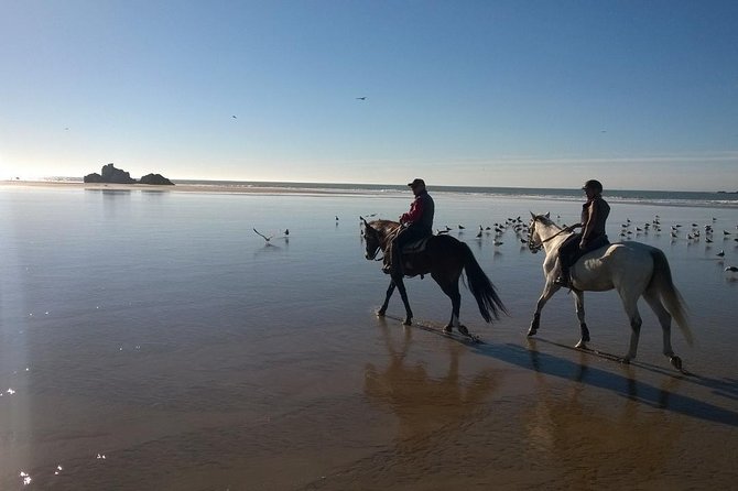 1 day horseback ride with lunch - Who should book this horse ride (and who should rethink it)