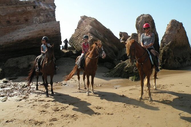 1 day horseback ride with lunch - Pickup, timing, and what to plan around (10:00 to ~17:00)
