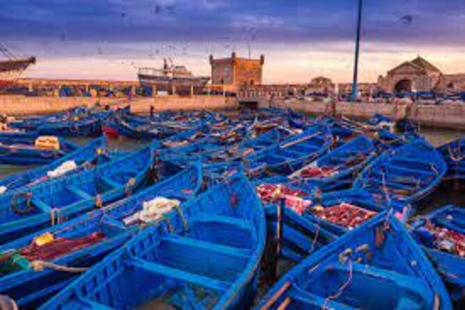 1 day Private trip from Marrakech to Essaouira - A Long Day From Marrakech to Essaouira: Timing That Works