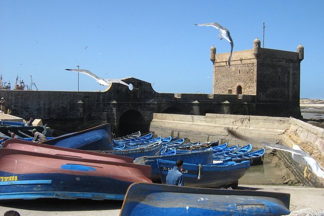 1 day Private trip from Marrakech to Essaouira - Price and Value: Is $59 a Good Deal for a Private Day?