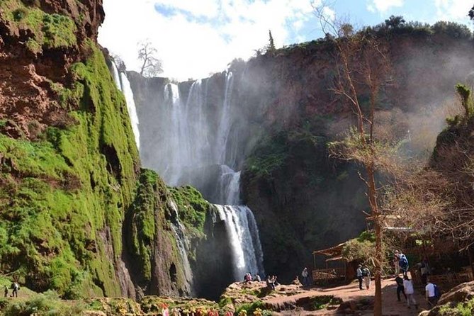 1 Day Tour from Marrakech To Ouzoud Waterfalls Small-Group - Ouzoud Falls: Why This Day Trip Feels Like Morocco in a Bottle