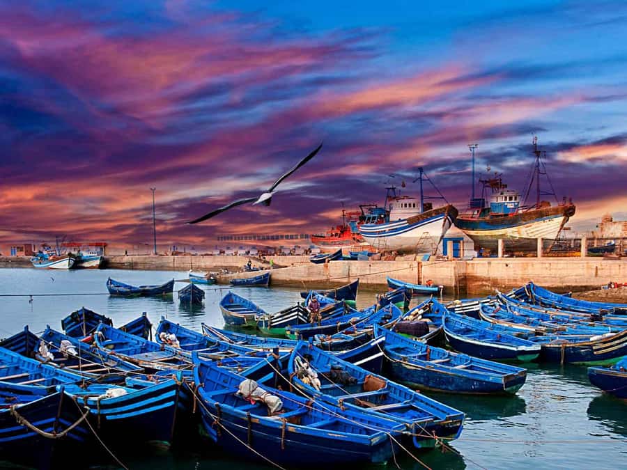 1 Day Trip from Marrakech To Essaouira - Key Highlights You’ll Care About