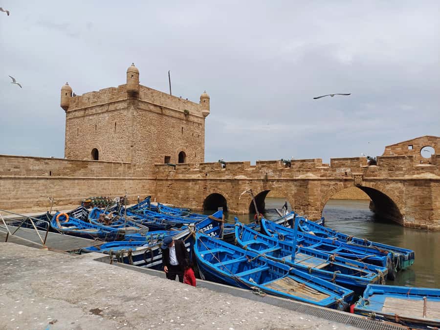 1 Day Trip from Marrakech To Essaouira - 4 Hours of Free Time: Medina, Souks, and Seafood Without the Stress