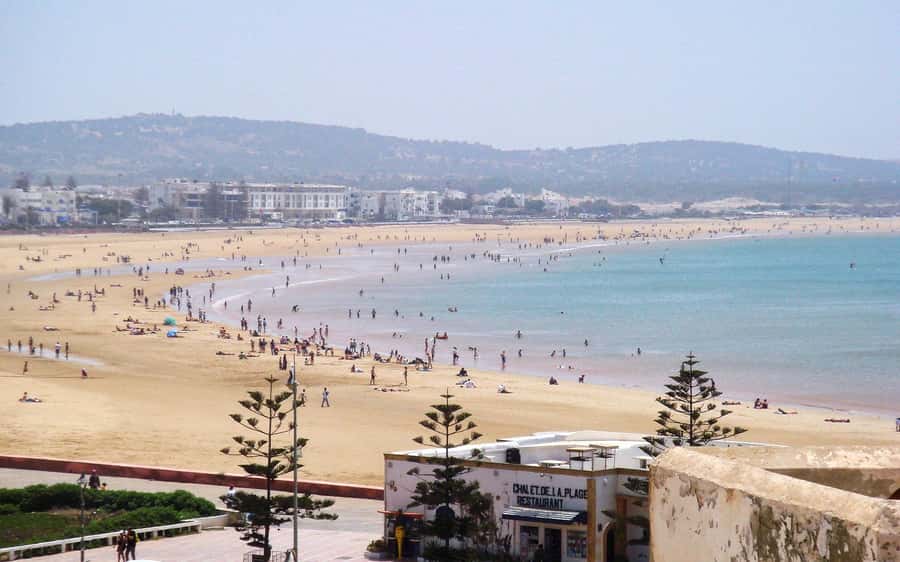 1 Day Trip from Marrakech To Essaouira - Timing and Return to Marrakech: Know What Early Evening Means