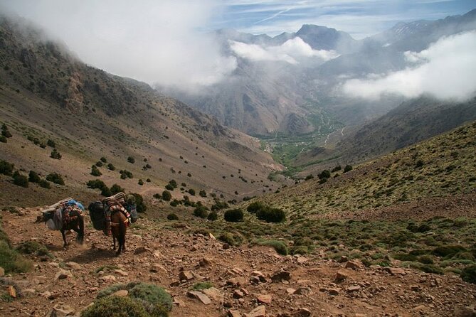 1-Day tripTour from Marrakech to Imlil in Atlas Mountains - Hiking toward the Toubkal National Park area: the payoff is the view