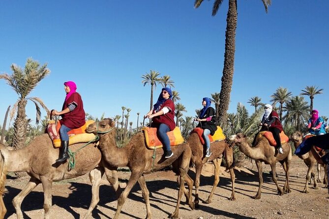 1-Hour Camel Ride and 1-Hour Quad Bike Ride in Marrakech. - Mint Tea Break: The Morocco Touch That Doesn’t Take Hours