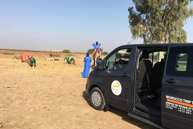 1-Hour Camel Ride and 1-Hour Quad Bike Ride in Marrakech. - Price and Value: What $46.53 Buys You (and What It Doesn’t)