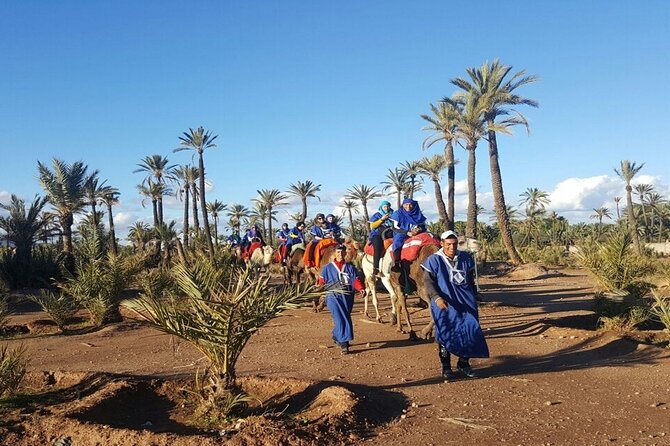 1-Hour Camel Ride and 1-Hour Quad Bike Ride in Marrakech. - Who Should Book This Tour, and Who Might Want Something Else