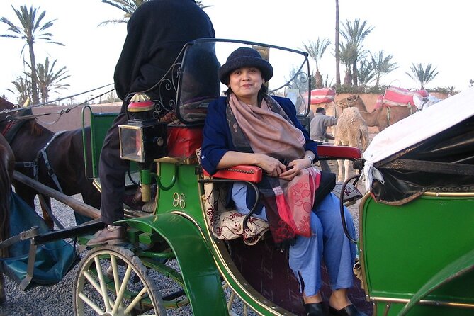 1-Hour Horse Carriage Drawn Marrakech City Tour - Key highlights and what matters