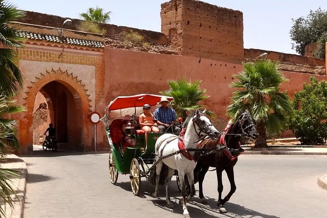 1-Hour Horse Carriage Drawn Marrakech City Tour - Menara Gardens and the Saadian pavilion: the calm beginning