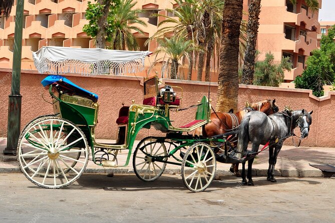 1-Hour Horse Carriage Drawn Marrakech City Tour - Jemaa el-Fna area and big landmarks without the hassle
