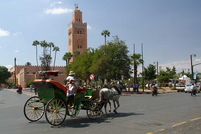 1-Hour Horse Carriage Drawn Marrakech City Tour - Avenue Mohammed V at the top of the hour: a city-hub feel