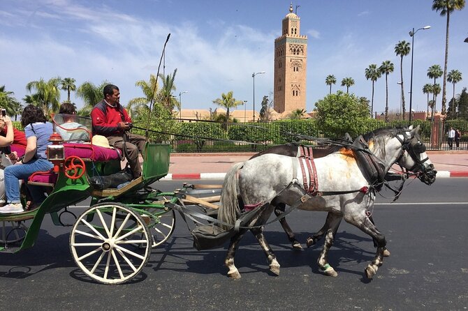 1-Hour Horse Carriage Drawn Marrakech City Tour - Price and what you actually get for $55.56