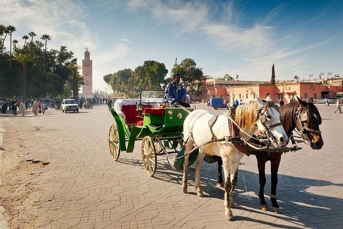 1-Hour Horse Carriage Drawn Marrakech City Tour - The animal-care and heat reality check (read this before you go)