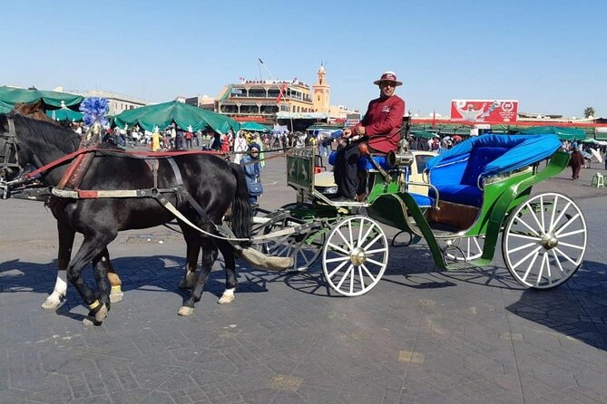1-Hour Horse Carriage Drawn Marrakech City Tour - Gliding through the medina: street-level Marrakech in one hour