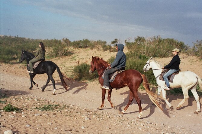 1 hour horse ride on the beach of essaouira - Getting from Essaouira to Diabat without stress