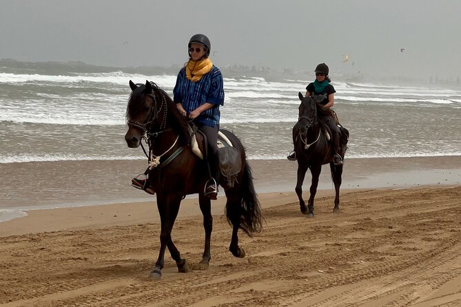 1 hour horse ride on the beach of essaouira - The 1-hour ride plan: beach time, controlled pace, then the turn back