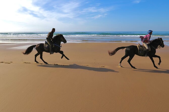 1 hour horse ride on the beach of essaouira - Horses and safety: what’s included and what you should do