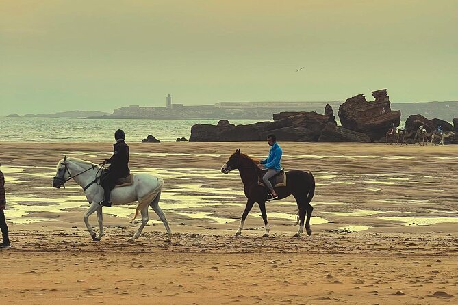 1 hour horse ride on the beach of essaouira - Timing that fits your Essaouira day