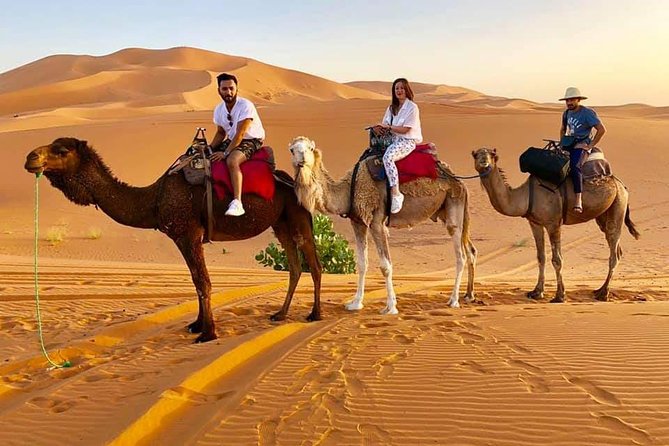1 Night All inclusive Camel Ride & Desert Camp - From Hassilabied Area to Merzouga: How the Timing Works
