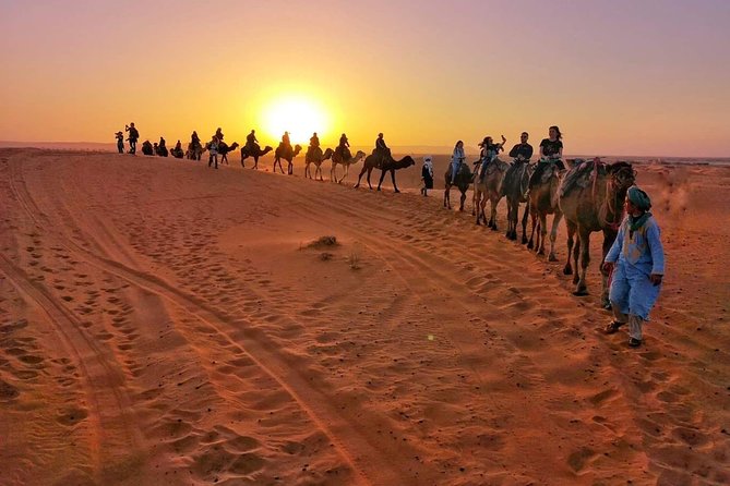 1 Night All inclusive Camel Ride & Desert Camp - The Camel Caravan: Your Guide, the Dunes, and Sunset Shadows