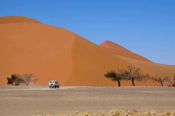 1 Night All inclusive Camel Ride & Desert Camp - Who Should Book This Camel Ride and Desert Camp