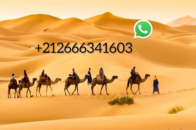 1 night Camel trek in Merzouga Desert Luxury Camp NO EXTRA - The luxury camp setup: what you’re actually paying for