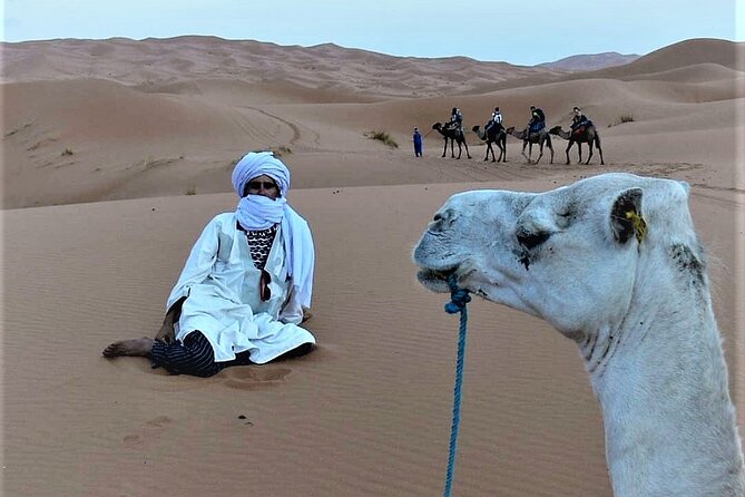 1 night Camel trek in Merzouga Desert Luxury Camp NO EXTRA - Practical tips to help your night go smoothly