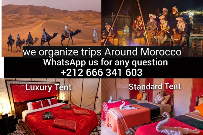 1 night Camel Treking in Merzouga Desert Luxury Camp - The Desert’s Not-So-Perfect Edges: Tracks, Cables, and Wind