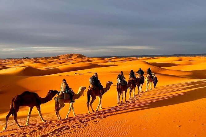 1 Night Camel Trekking in Merzouga - Early sunrise hike and the return to Merzouga breakfast