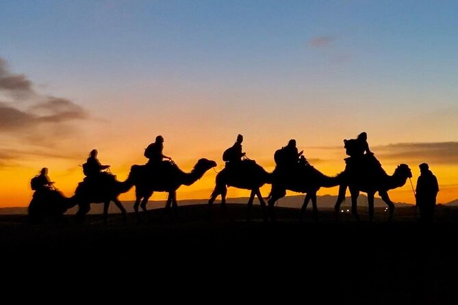 1 Night Camel Trekking in Merzouga - Price and value: what $58.07 is really buying