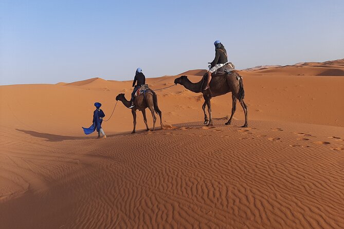 1 Night Camel Trekking in Merzouga - Who should book this one-night camel trek