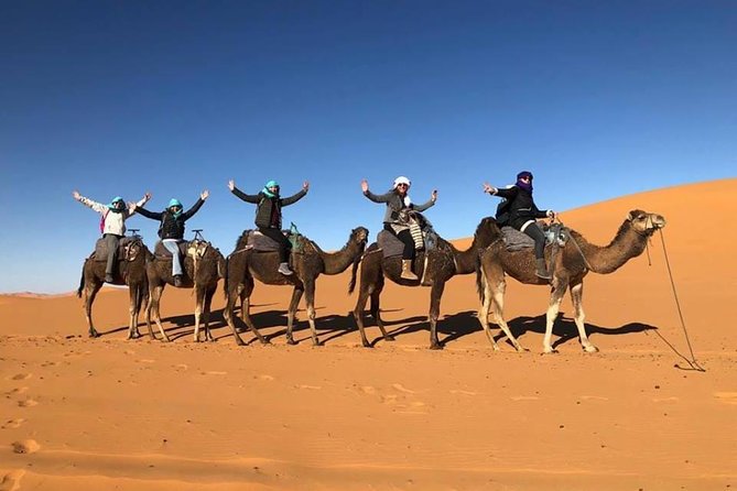 1 Night Camel Trekking Tour in Merzouga Desert Camp - Camel Ride Rhythm in Merzouga: Why It Works