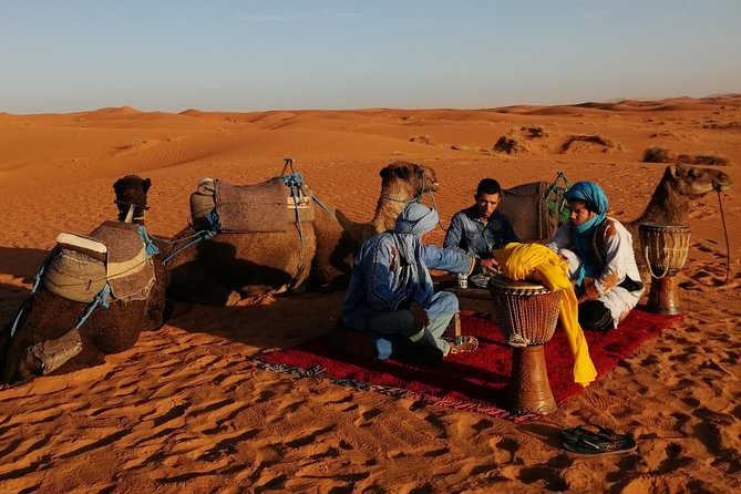 1 Night Camel Trekking Tour in Merzouga Desert Camp - Price and Value: What $63.97 Buys You