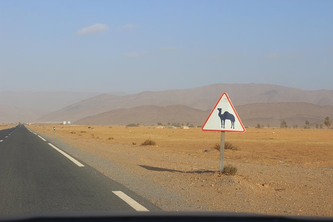 1 night in desert from Agadir - Legzira Beach’s Rock Arches: Quick, Scenic, and Worth the Camera
