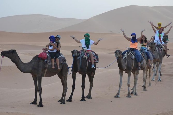 1 Night in desert Merzouga with Camel trek - Erg-Chebbi, Morocco - Your one-night Merzouga desert mission: what you’re really buying