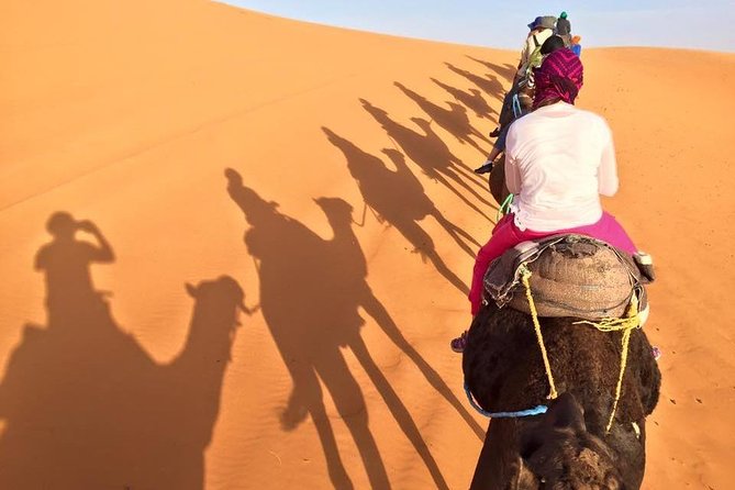 1 Night in desert Merzouga with Camel trek - Erg-Chebbi, Morocco - Price and value: is $67.46 a good deal?