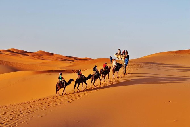 10-Day Morocco Tour from Casablanca via Sahara Desert & Chefchaouen - Key highlights